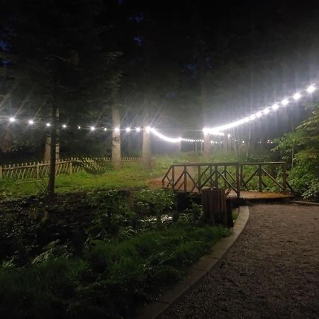 Villa Park - Beniart Studio - Nr 109 - Near Gondola Lift Боровец Экстерьер фото