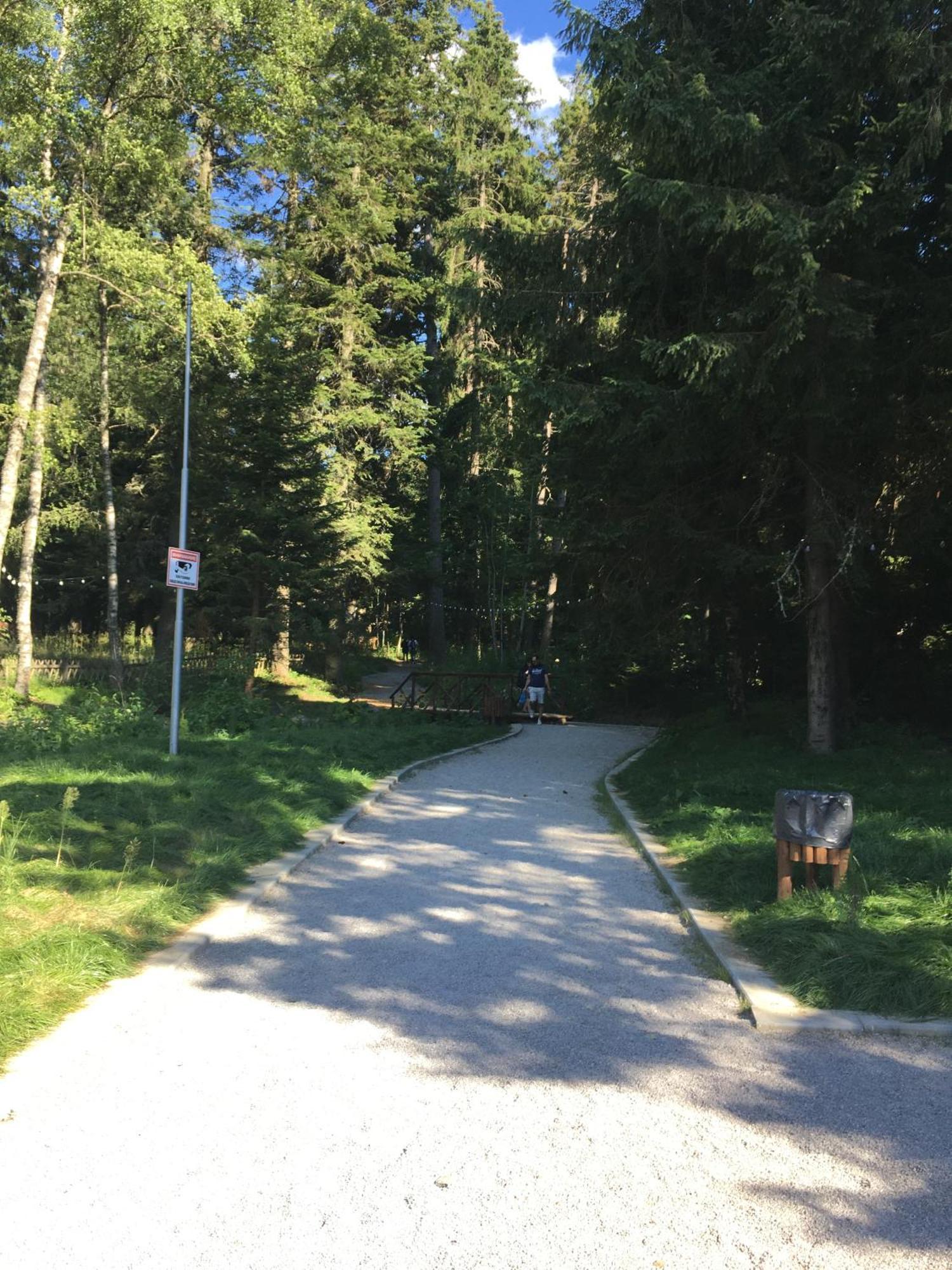 Villa Park - Beniart Studio - Nr 109 - Near Gondola Lift Боровец Экстерьер фото
